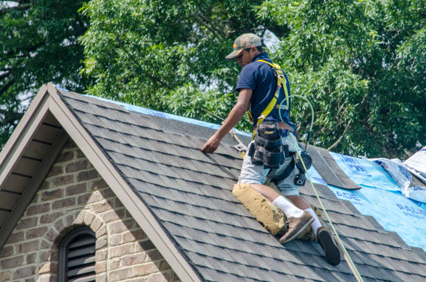 Best Best Roofing Contractors  in Bay City, MI